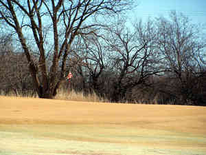 IMG 7060