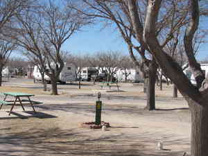IMG 7164
