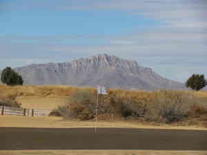 IMG 7238
