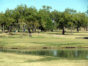 IMG 7403