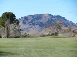 IMG 7430