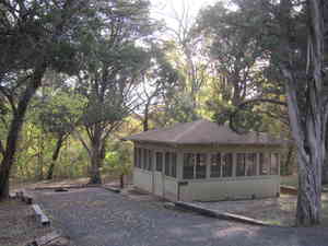 IMG 7432