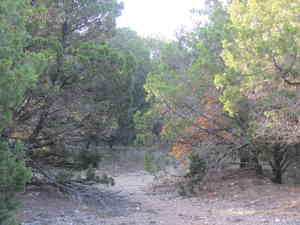 IMG 7439