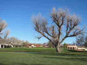 IMG 7440