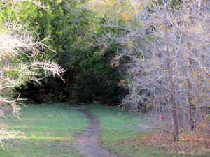 IMG 7449