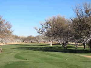 IMG 7475