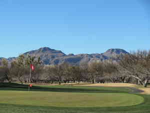 IMG 7478