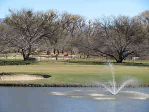 IMG 7487