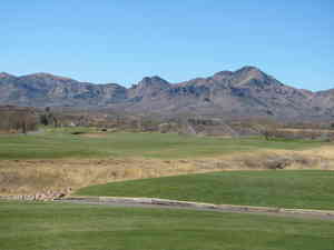IMG 7490