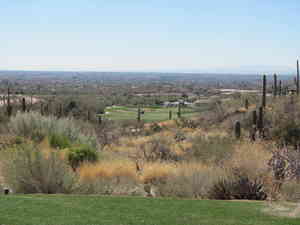 IMG 7638