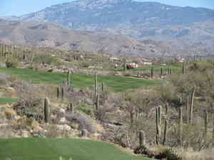 IMG 7649
