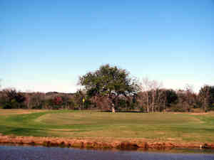 IMG 7651