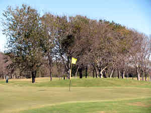 IMG 7654