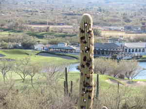 IMG 7667