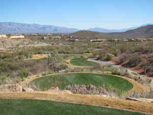 IMG 7694