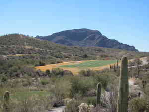 IMG 7698