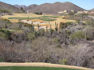 IMG 7721