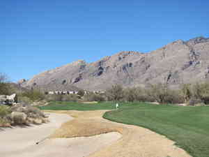 IMG 7873