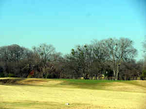 IMG 7995