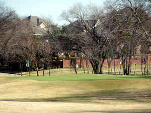 IMG 7999