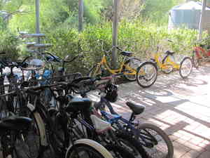 IMG 8559
