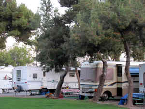 IMG 9551