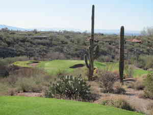 IMG 9811
