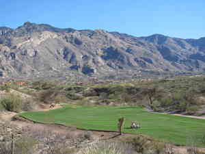 IMG 9820
