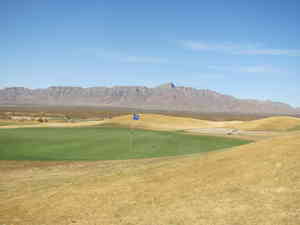 IMG 9946