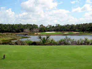 IMG 9957