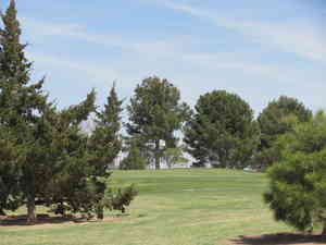 IMG 9992