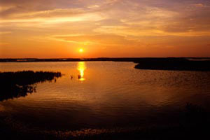 MBNP Scenic 6