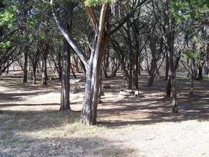 Meridian SP Tent Sites