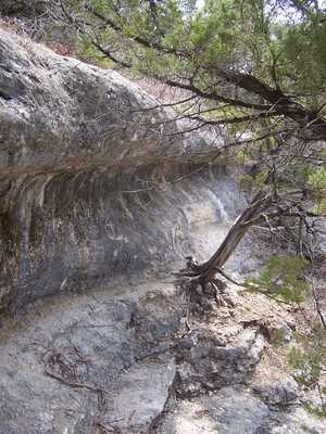 Meridian SP Trail View