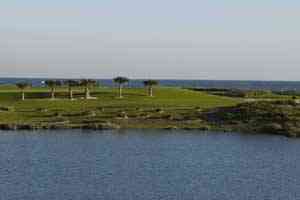 OceanCourseatHammockBeachResort9