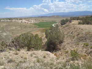 P7150337