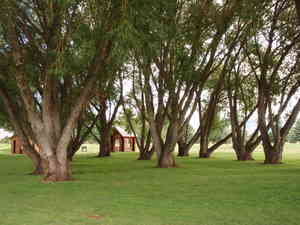 P8050116