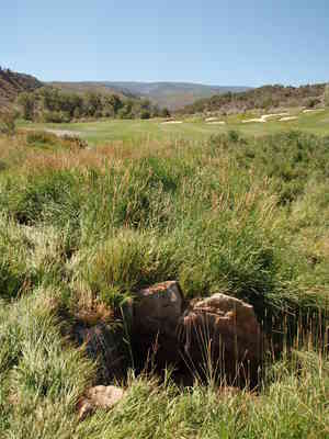P8250409