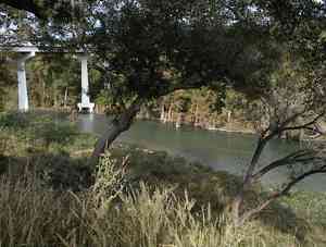 PicinicArea