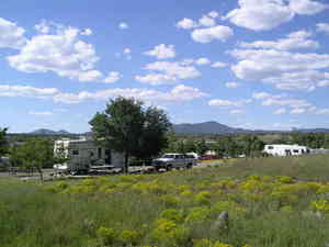 Site 45 2004 2
