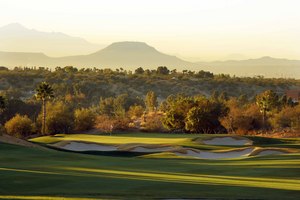 Sonoran 18