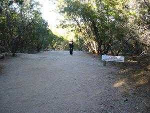 Trail to Perd Falls