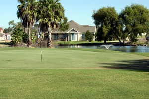 6 green