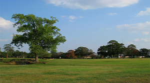 cropped lpgc 1