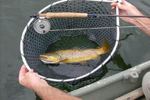 flyfishing