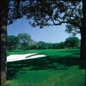 hole 14 lantana