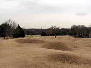 img 0047
