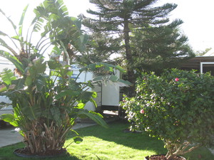 img 0060