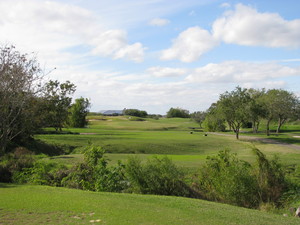 img 0169