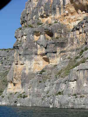 img 4552